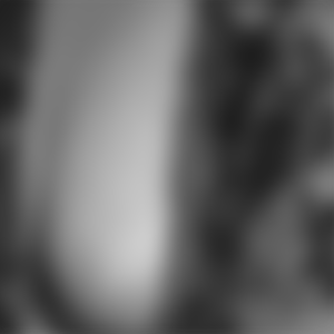 rencontre-Cougar-Belfort