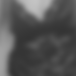 rencontre-Saint-Malo