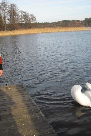 Charlotte 52 ans cherche un mec bien bâti et endurant Charlotte - rencontre-Cougar-Saint-Priest